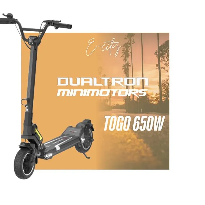 Trottinette électrique Dualtron Togo 650w – Brushless – Batterie 60V15AH – 47Km – Image 6